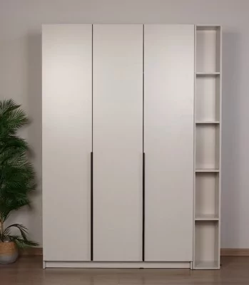 Рим 120 шкаф распашной 3Д 01 Кашемир